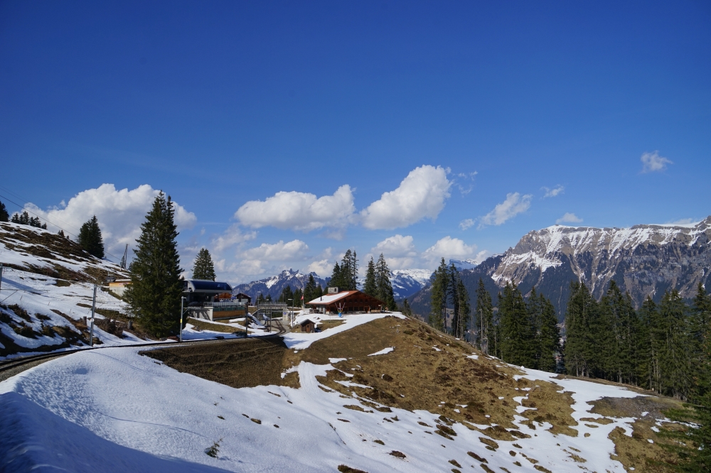 勞特布龍嫩－米倫登山鐵路（Bergbahn Lauterbrunnen–Mürren，簡稱 BLM）