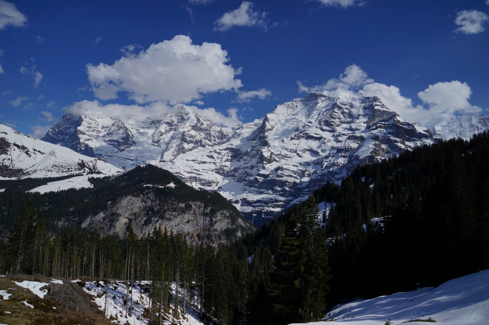 勞特布龍嫩－米倫登山鐵路（Bergbahn Lauterbrunnen–Mürren，簡稱 BLM）