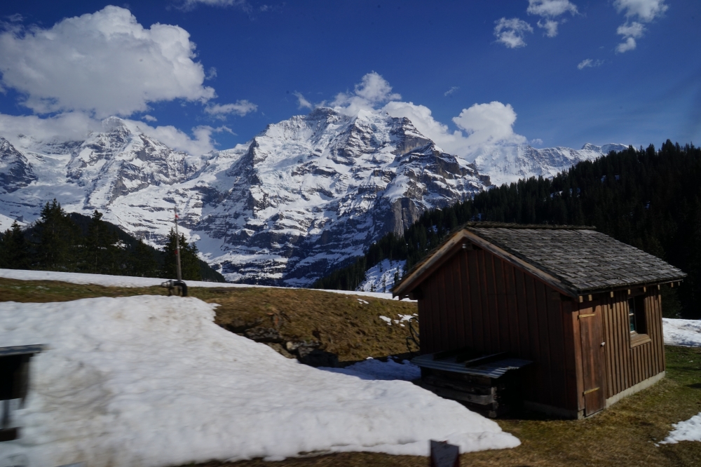 勞特布龍嫩－米倫登山鐵路（Bergbahn Lauterbrunnen–Mürren，簡稱 BLM）