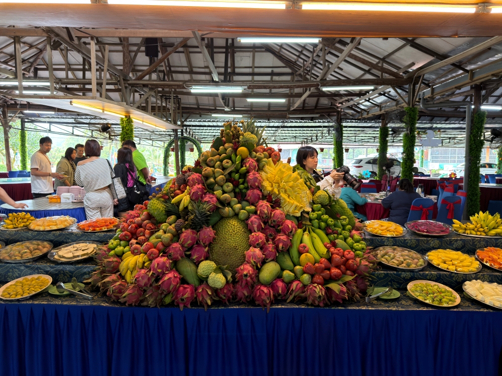 【2026吉隆坡自由行】柔佛景點推薦|迪沙魯水果園 Desaru Fruit Farm;水果Buffet吃到飽、ATV越野探險、小動物互動與騎馬體驗。 - 第8張圖 柔佛景點推薦|迪沙魯水果園 Desaru Fruit Farm