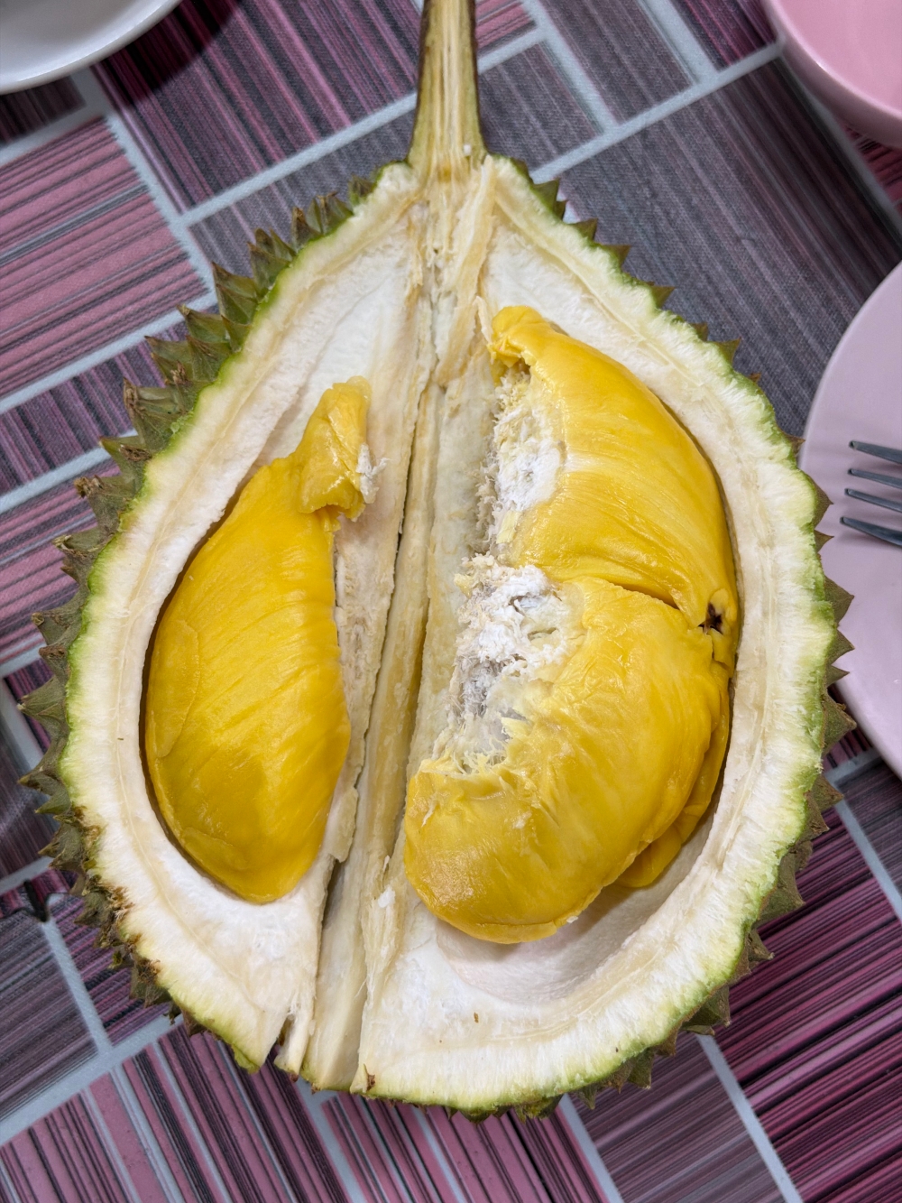 【2026吉隆坡自由行】柔佛景點推薦|迪沙魯水果園 Desaru Fruit Farm;水果Buffet吃到飽、ATV越野探險、小動物互動與騎馬體驗。 - 第12張圖 柔佛景點推薦|迪沙魯水果園 Desaru Fruit Farm