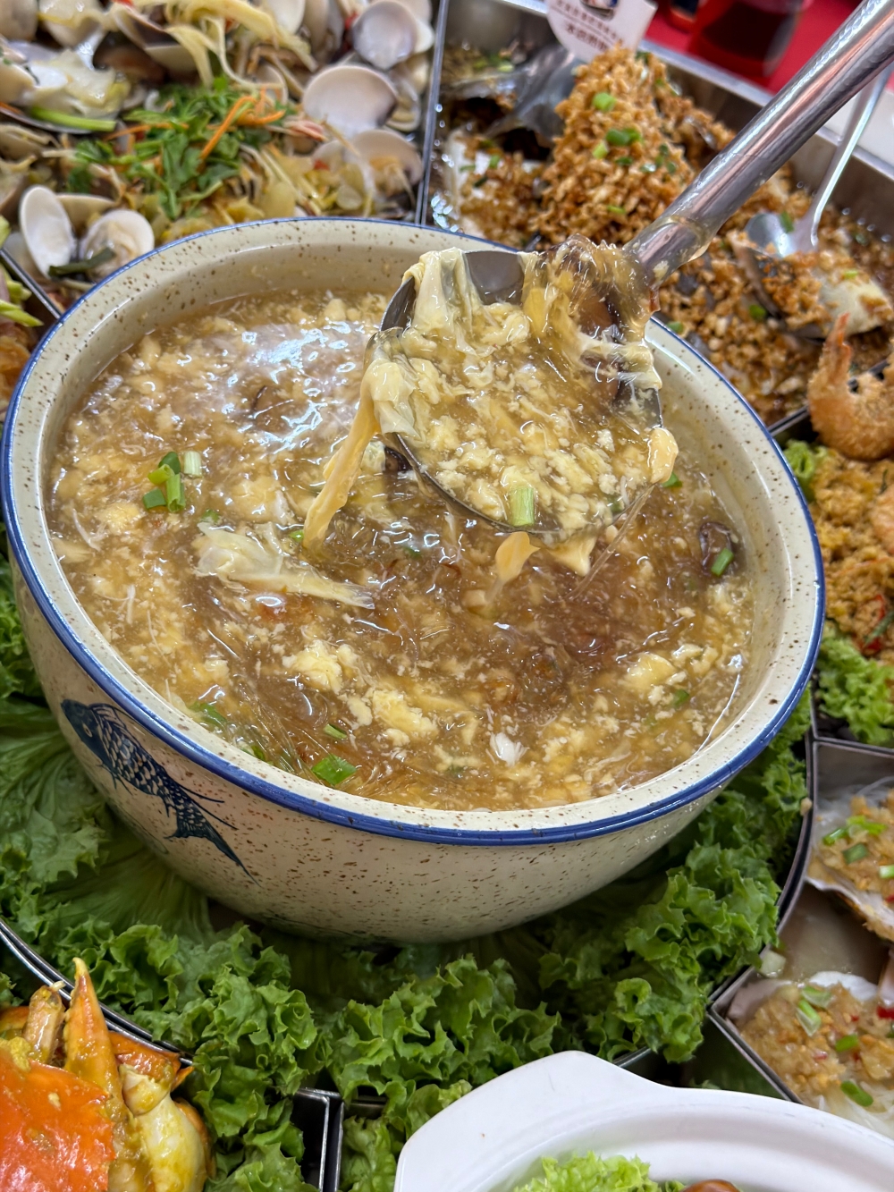 【2026吉隆坡自由行】雪蘭莪體驗活動推薦|餵老鷹、賞螢火蟲、追藍眼淚!吉隆坡近郊最夢幻的紅樹林夜遊與海鮮大餐。 - 第15張圖 Batch IMG