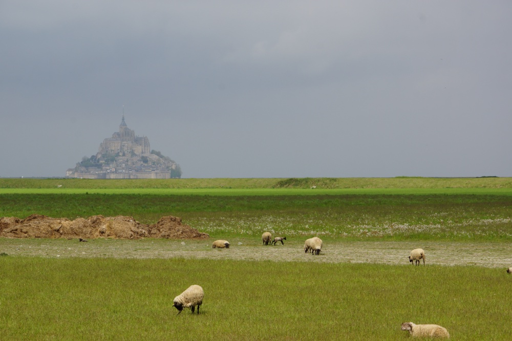 聖米歇爾山( Mont Saint-Michel)
