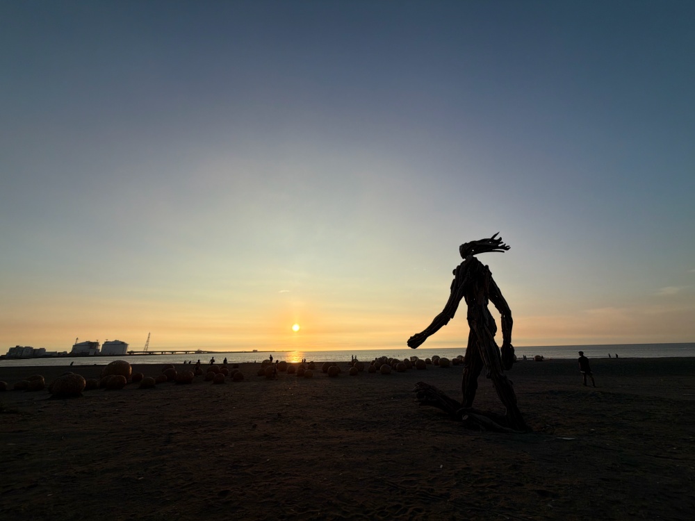 2026桃園地景藝術節|珍珠海岸最美夏日藝術旅行!六大展區一次玩遍,竹圍漁港、永安漁港、新屋石滬、許厝港濕地完整攻略 - 第4張圖 IMG