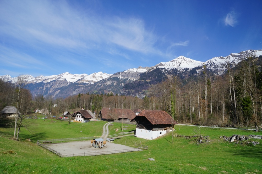 Dsc08108 19150379216 o