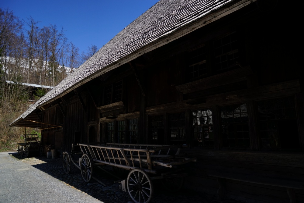 Dsc08481 20613814716 o