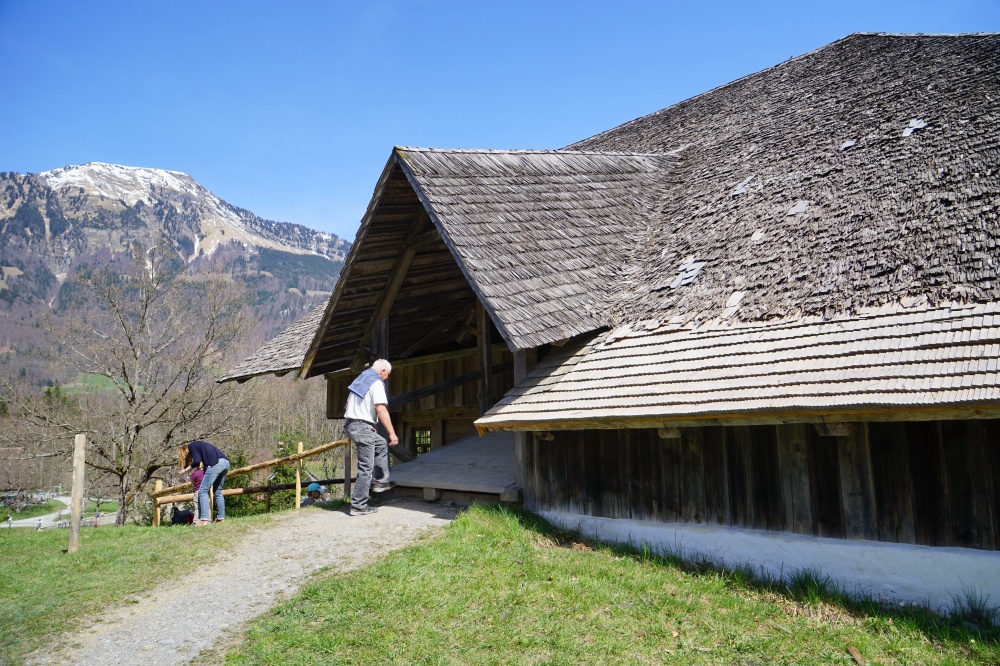 Dsc08639 20646551541 o