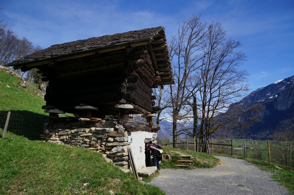 Dsc08759 20646500431 o