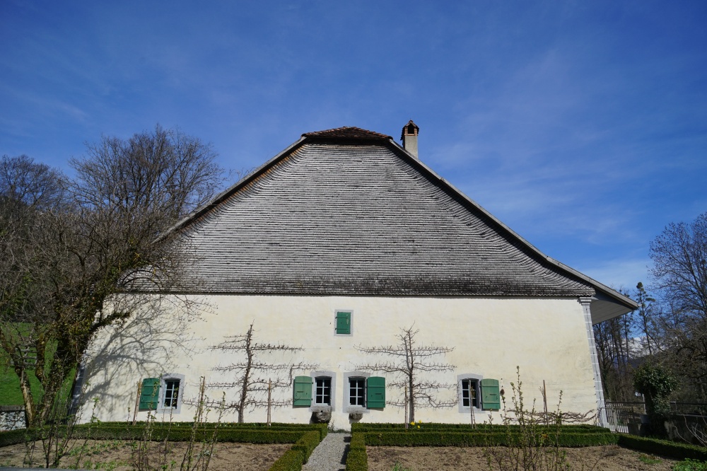 Dsc08831 20017226514 o